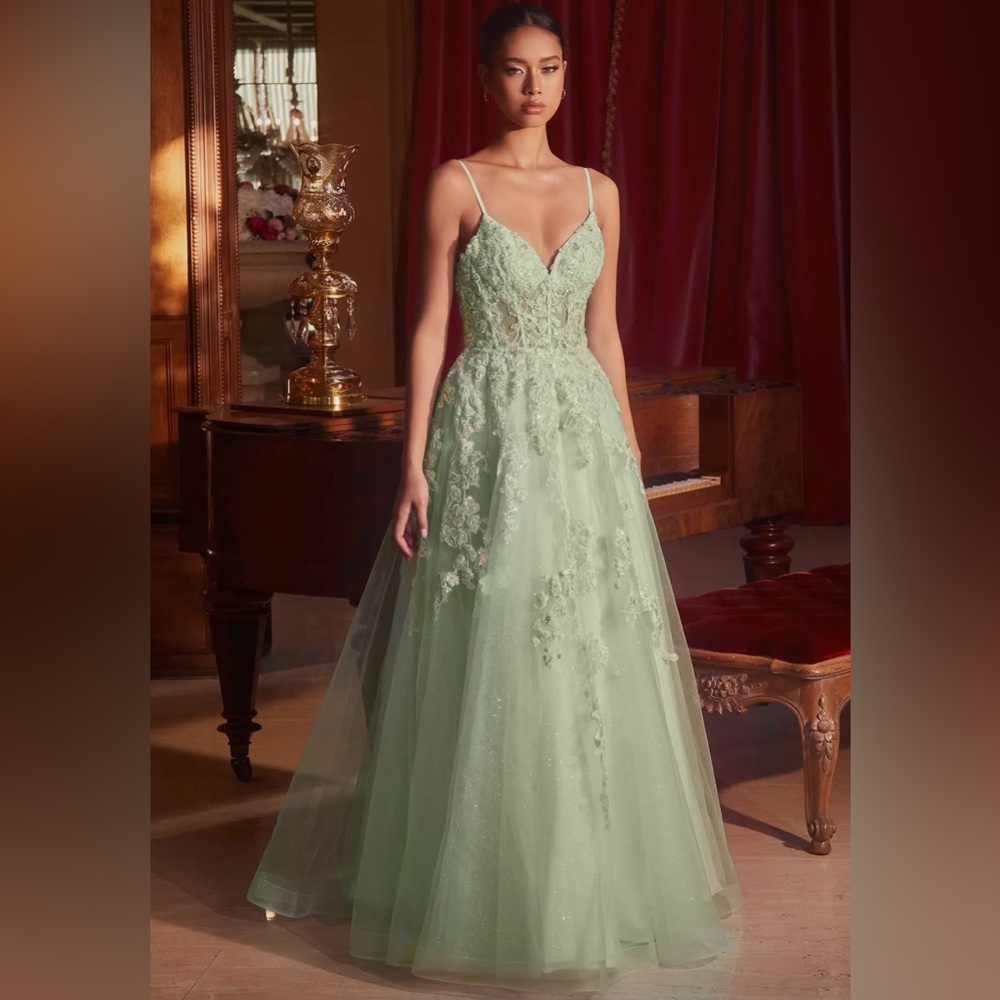 LADIVINE | sage green embroidered floral tulle corset ball gown/prom dress CM347